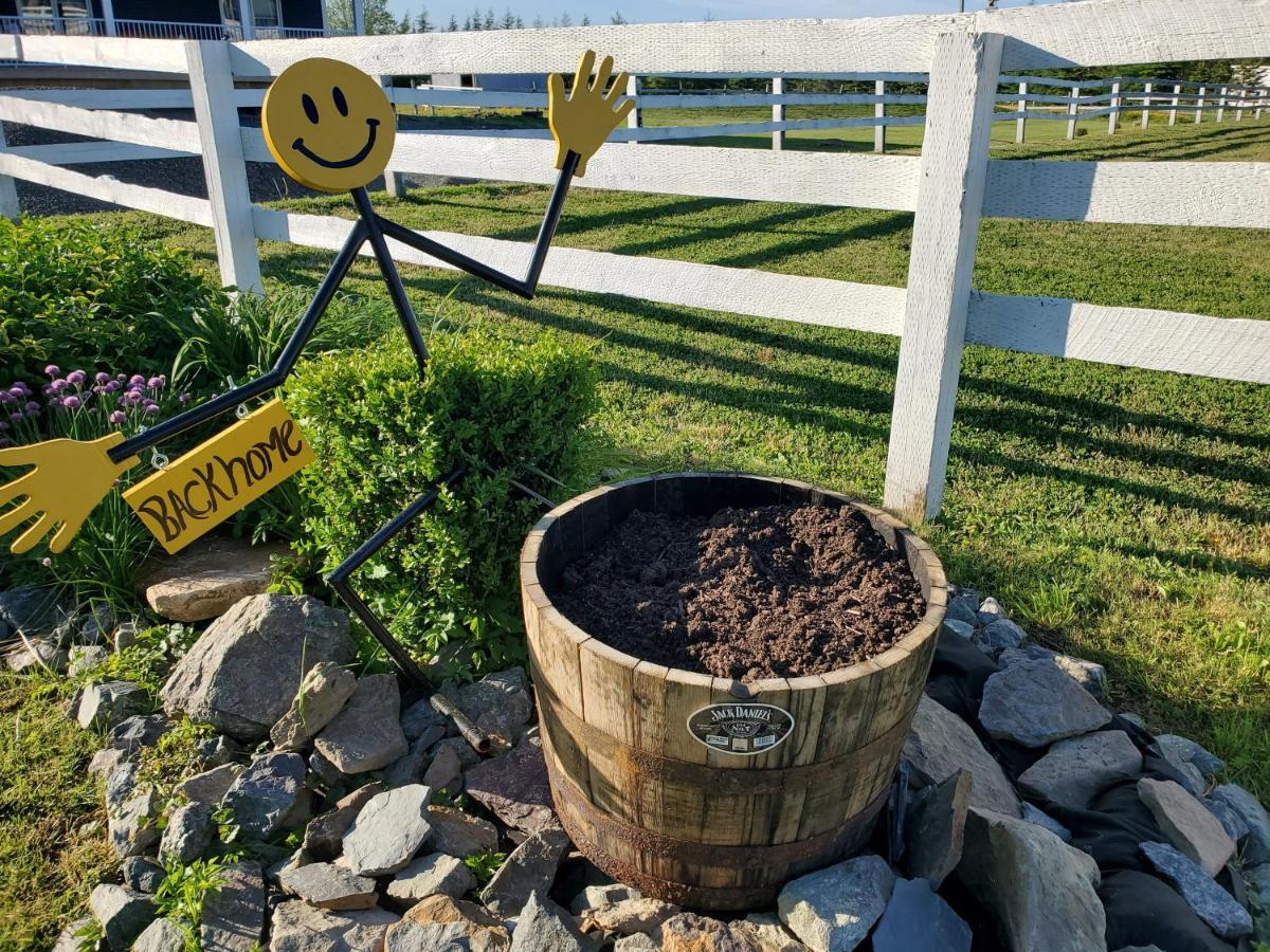 Back Home Bed And Breakfast Membertou ภายนอก รูปภาพ